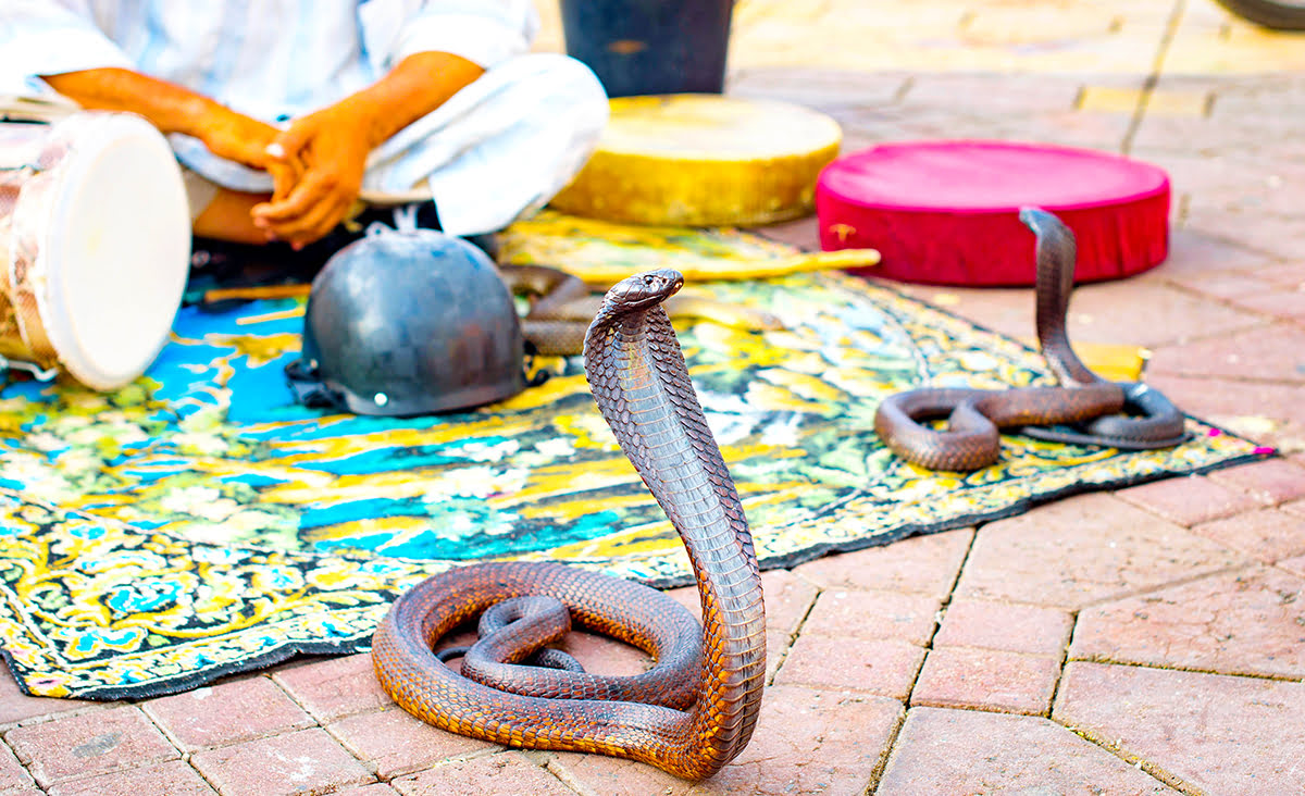 Things to do in Marrakech-Morocco-Djemaa el Fna Square
