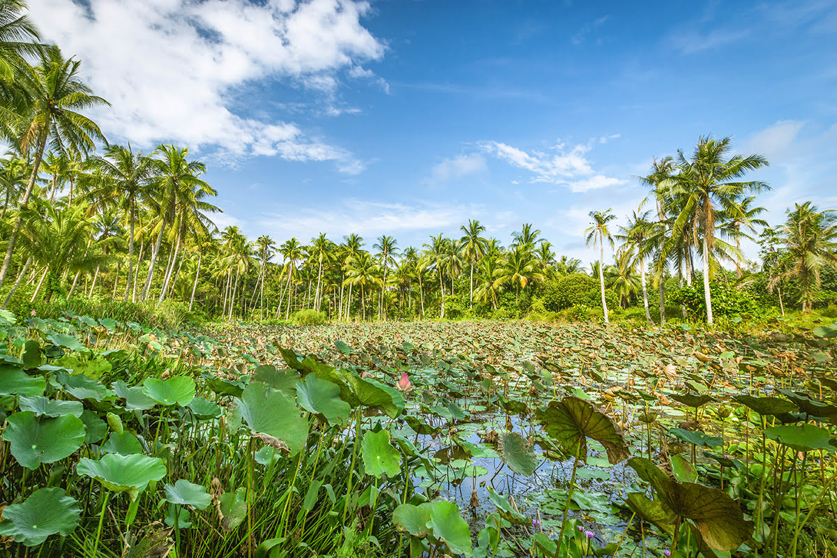 Singapore Itinerary-Pulau Ubin