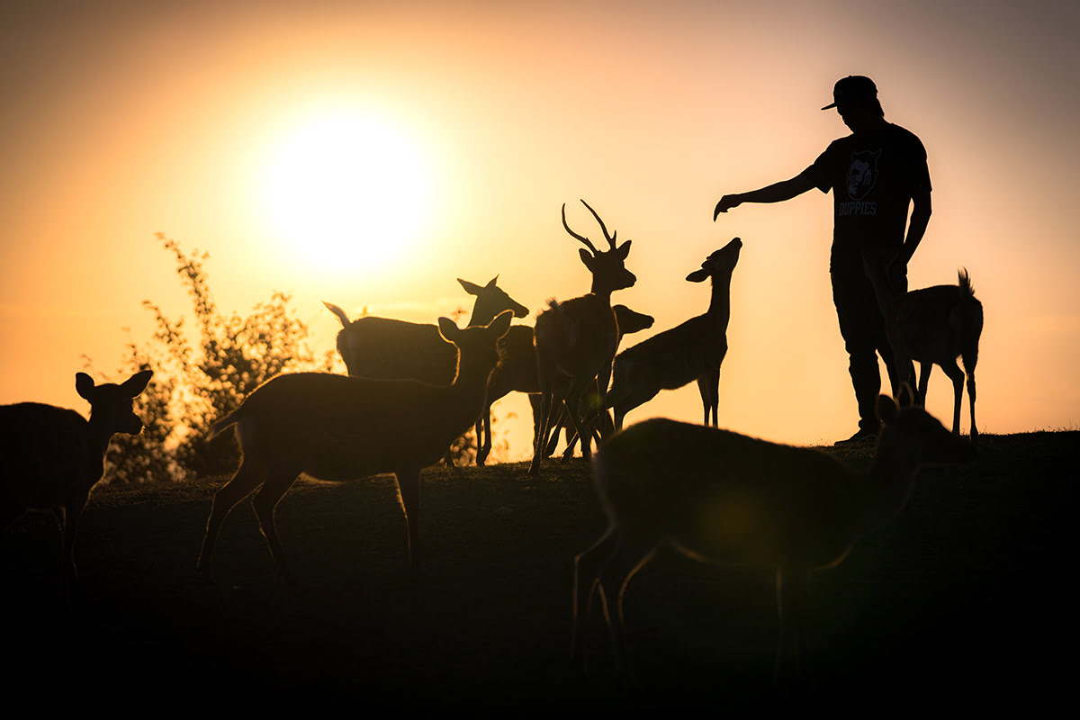 Nara attractions-Instagram venues-Nara Park