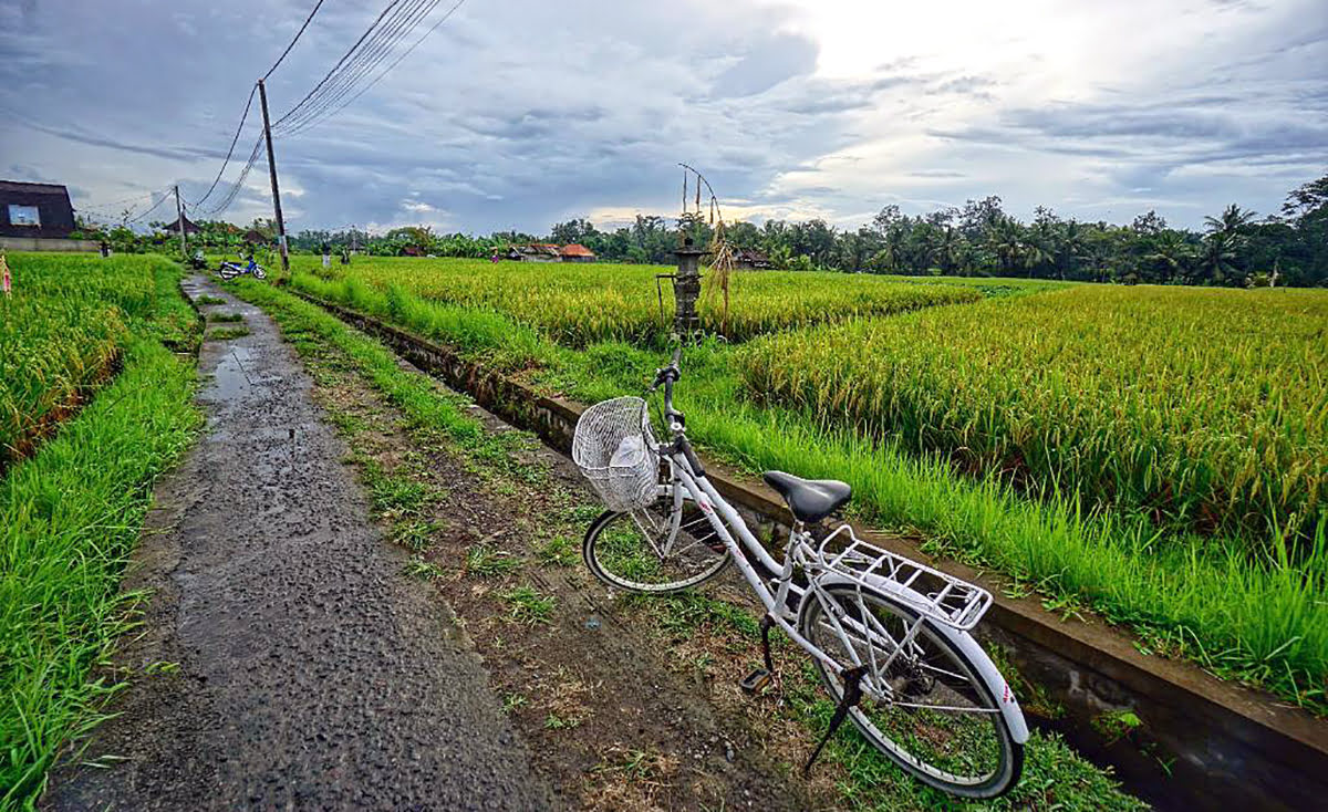 Honeymoon homestays in Bali-1BR Luxury Villa w/pool close to Ubud Center