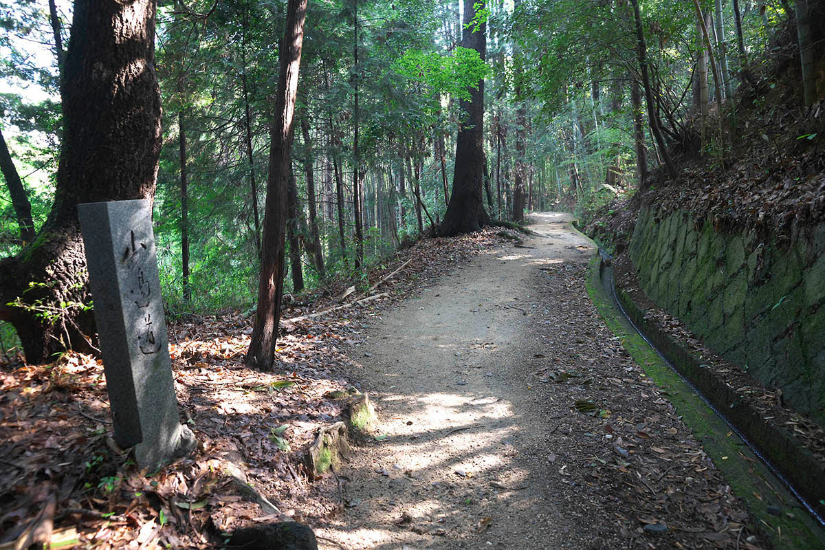 Nara nature-Yamanobe no michi-Stone poetry