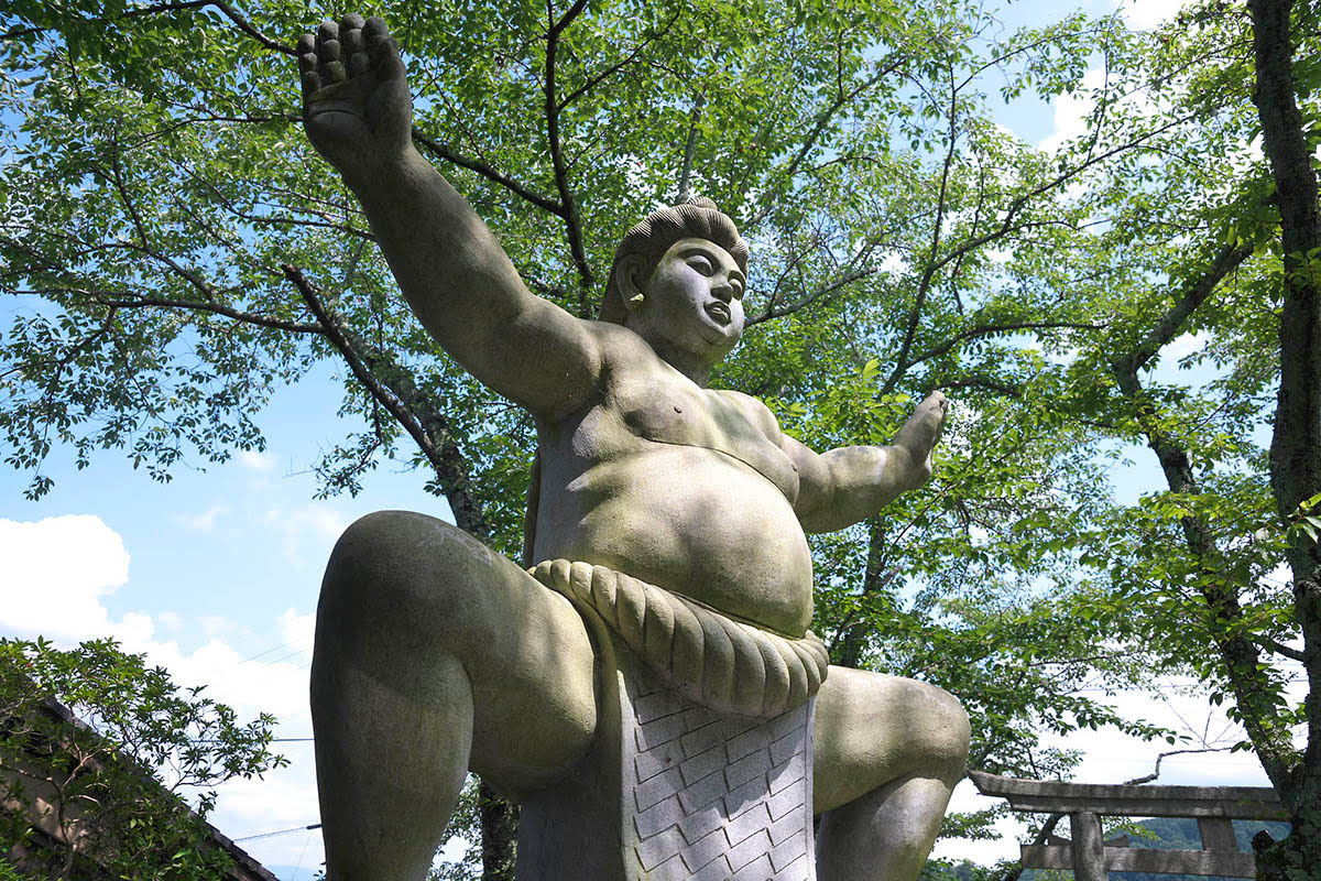Nara nature-Yamanobe no michi-Sumo Shrine