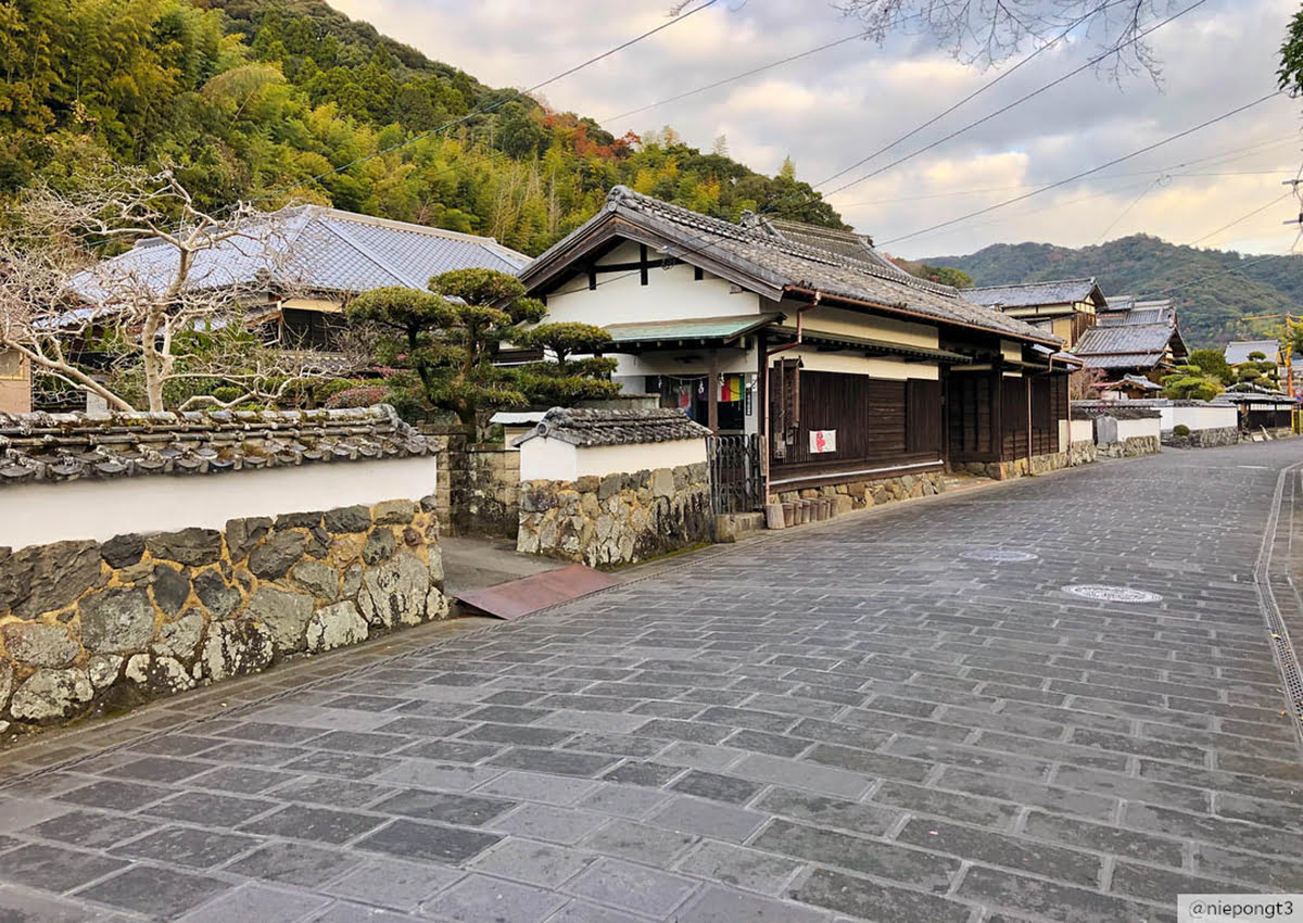 福岡一日遊-九州-日本-佐伯城