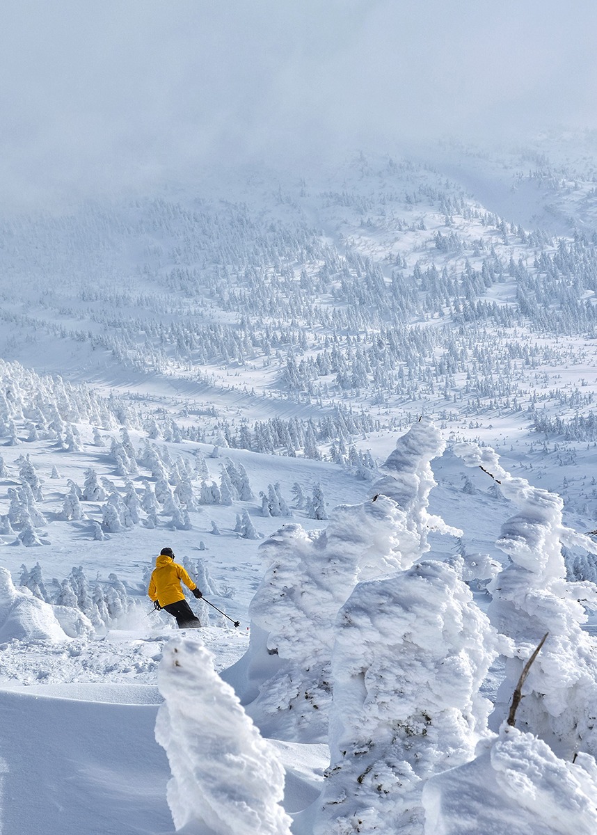 Family-friendly destinations in Tohoku-Hakkoda Ski Area in Spring-Aomori Prefecture