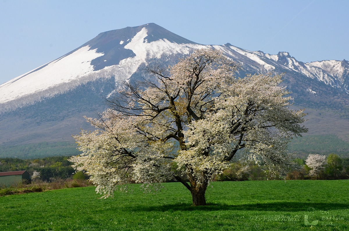 Family-friendly destinations in Tohoku-Hachimantai Aspite Line-Iwate Prefecture