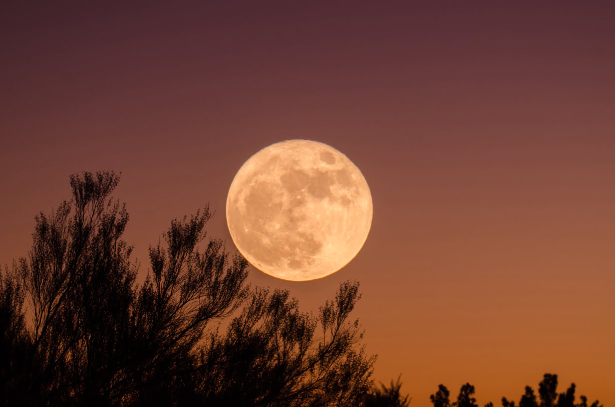Urban Escapes for Moon-Gazing