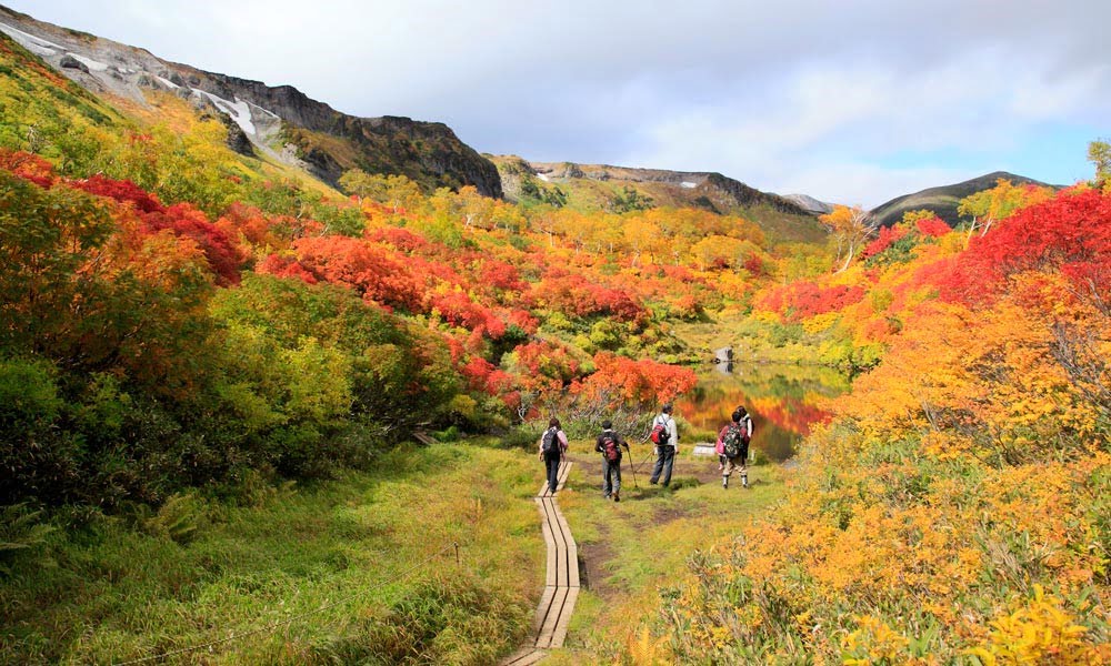 アゴダが注目する「美しい紅葉を楽しむ国内の旅行先5選」