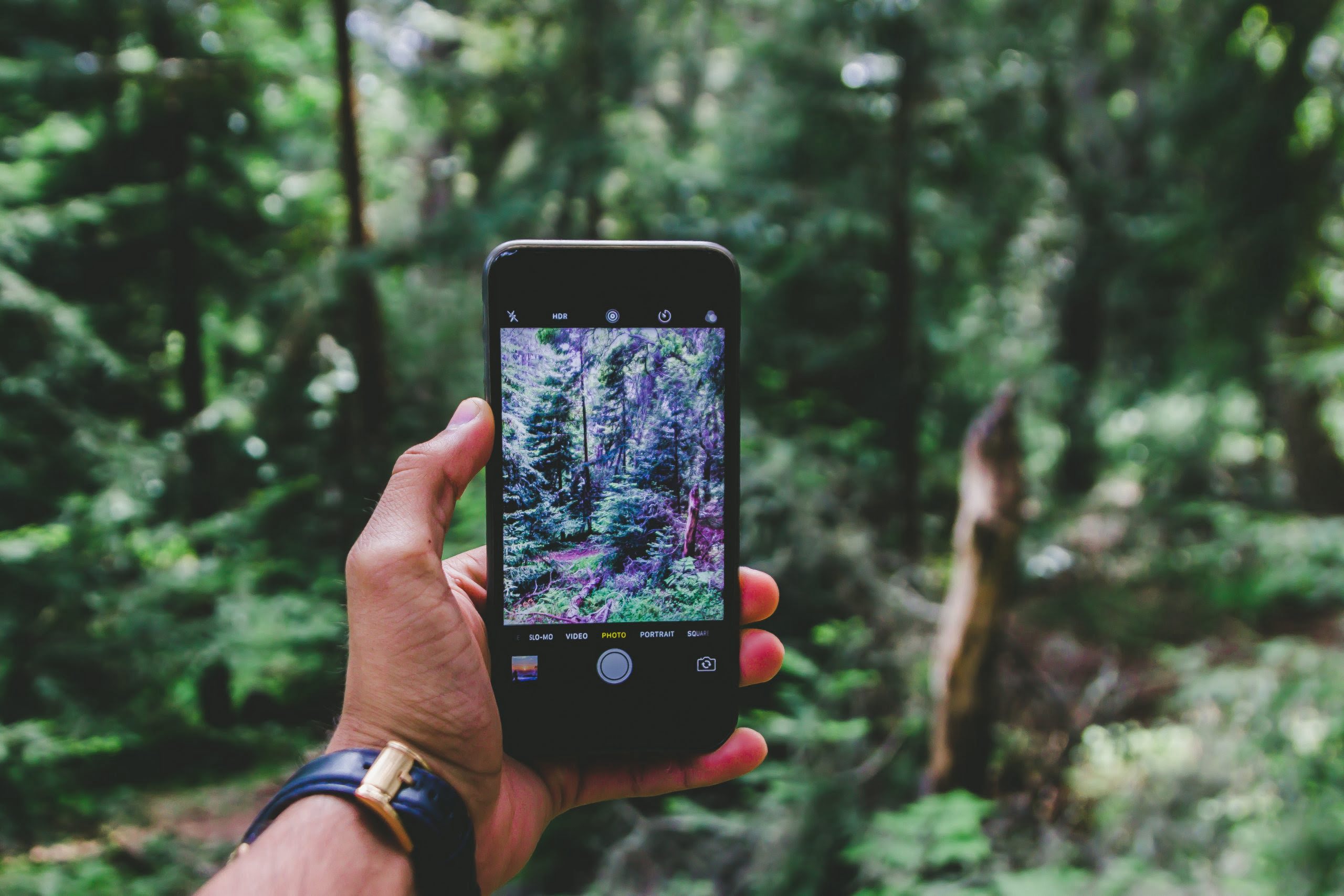 UAE travelers name Japan, Singapore and Thailand as most Instagramable Asian destinations
