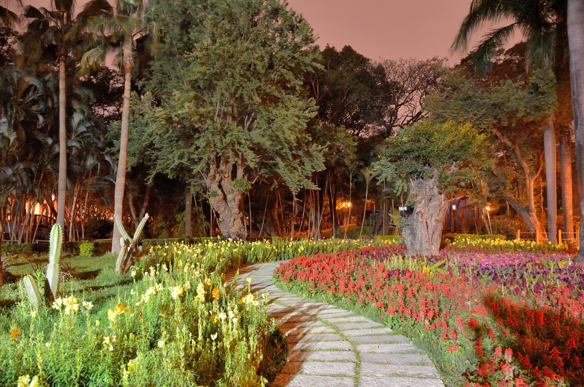 Urban Escapes: Agoda Unveils a Guide to Asia’s Most Serene City Parks