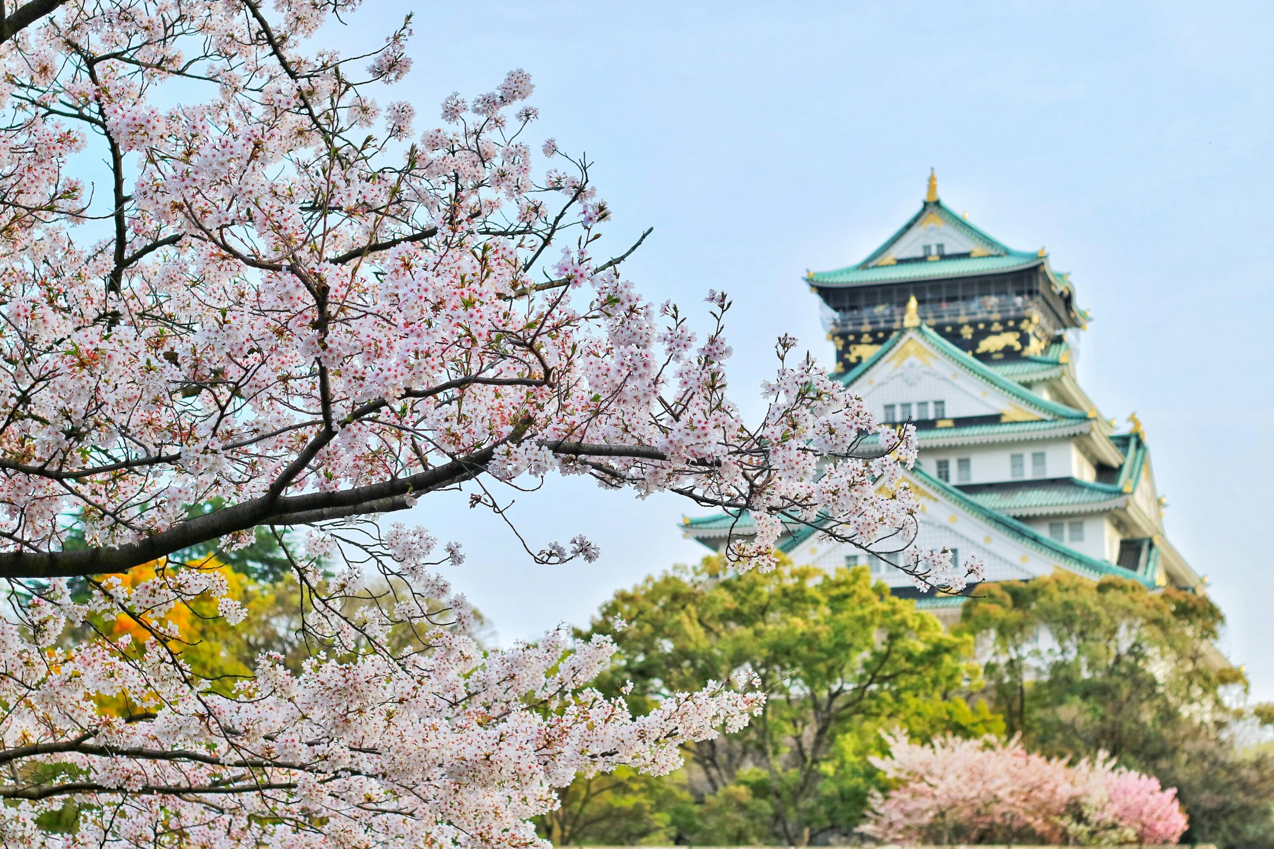 Osaka Rises as the Top Choice for Chinese Travelers Celebrating Golden Week, Agoda Reports
