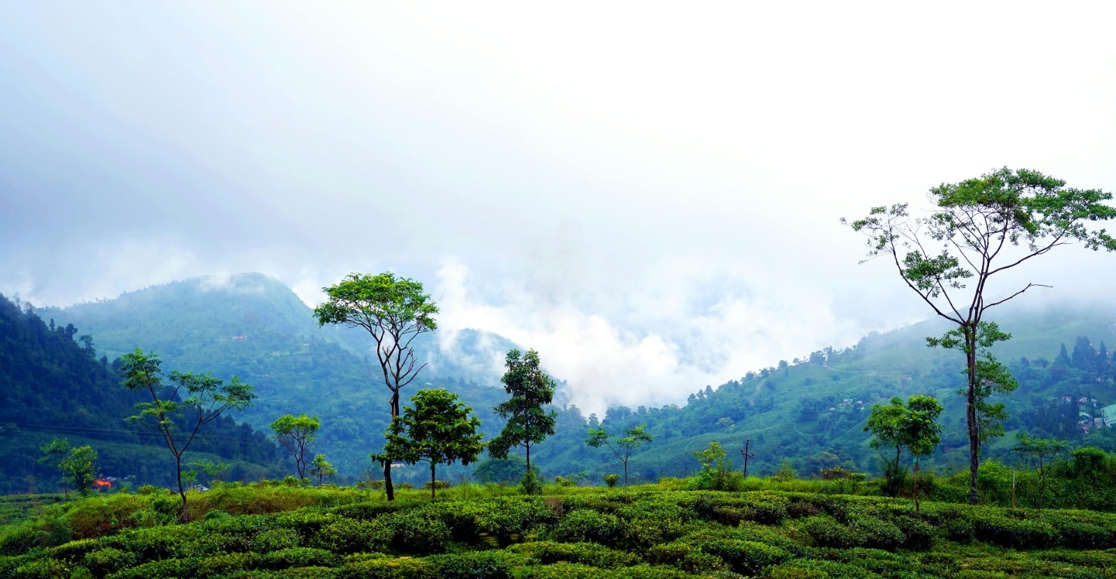 Agoda Highlights Cool Escapes Across India to Beat the Summer Heat