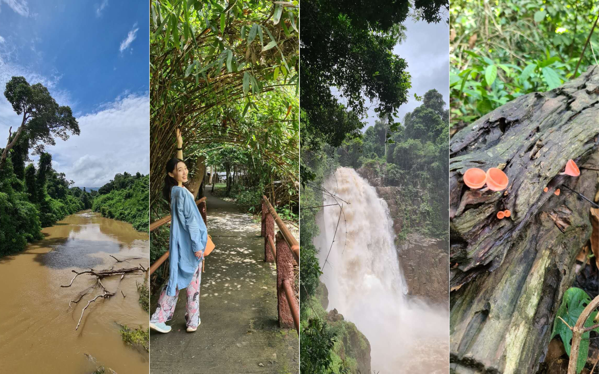 Khao Yai, Thailand