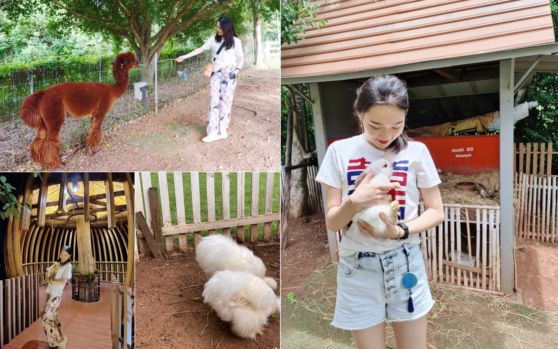 Khao Yai, Thailand
