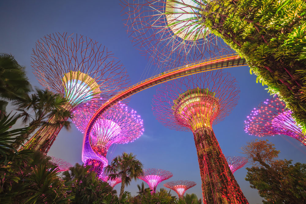 Gardens by the Bay_Mount Faber Park_Marina Bay Sands