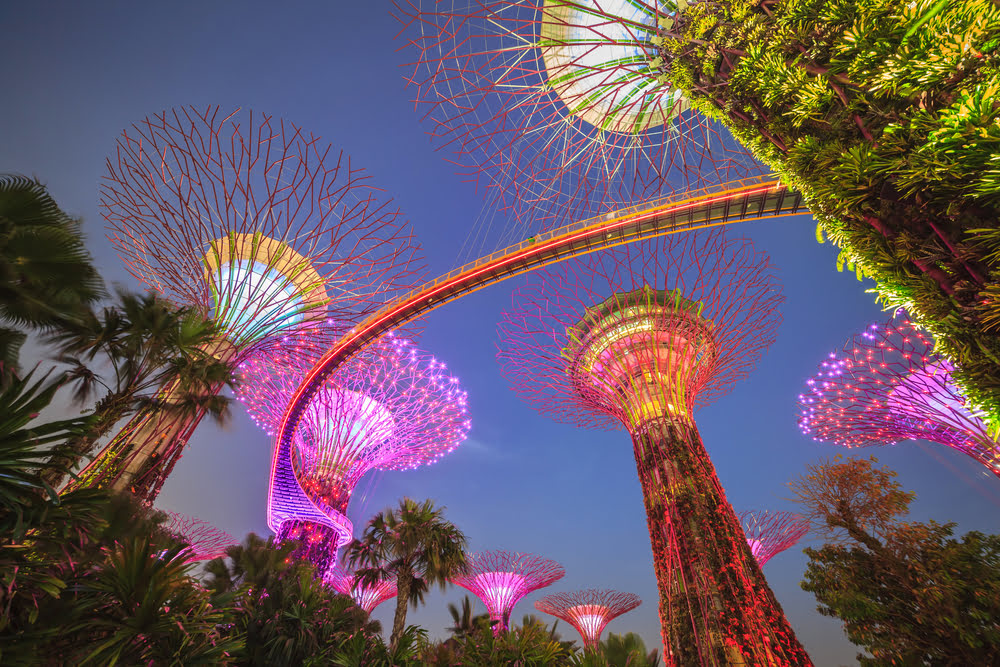 Gardens by the Bay_Công Viên Mount Faber_Marina Bay Sands