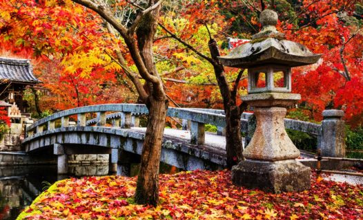 Fall Trekking Tours in Japan | 7 Sweet Spots for Hiking & Koyo Hunting