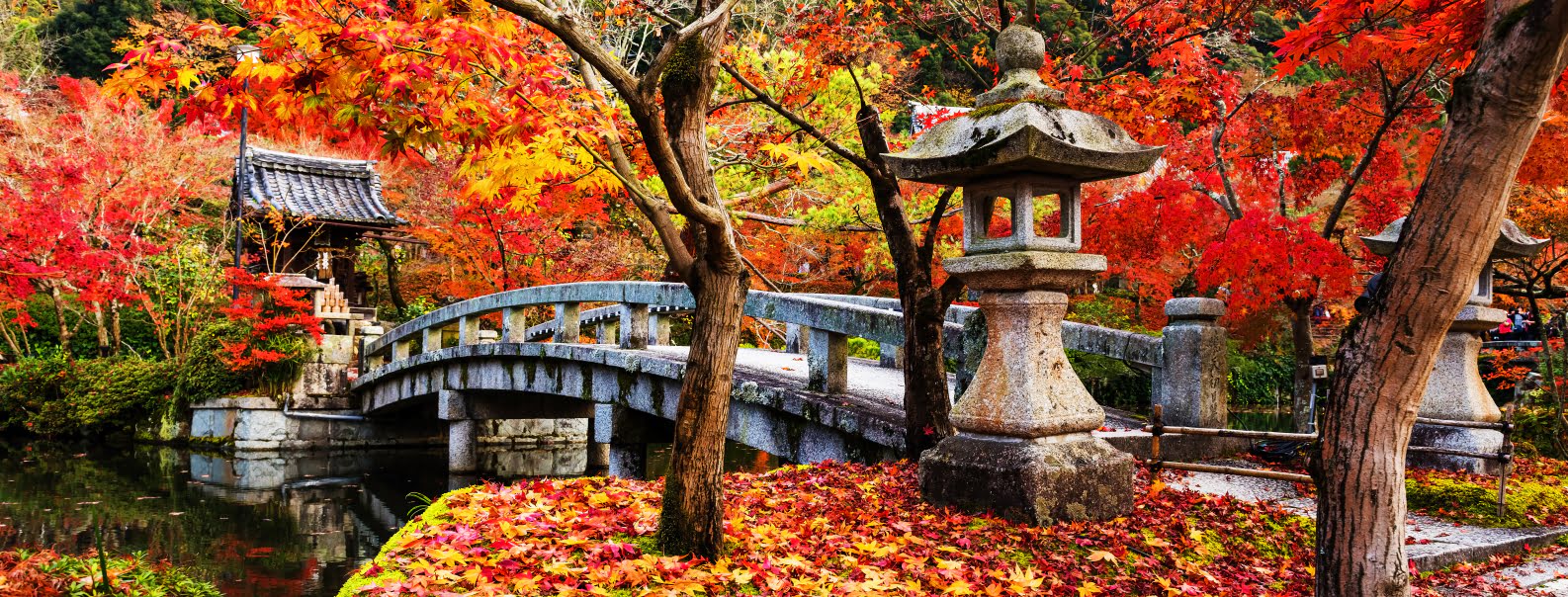 全国の紅葉名所おすすめ7選 山奥の景勝地から都会の絶景スポットまでご紹介