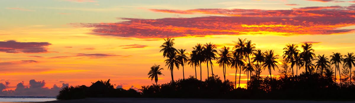 Romantic sunset with palm trees