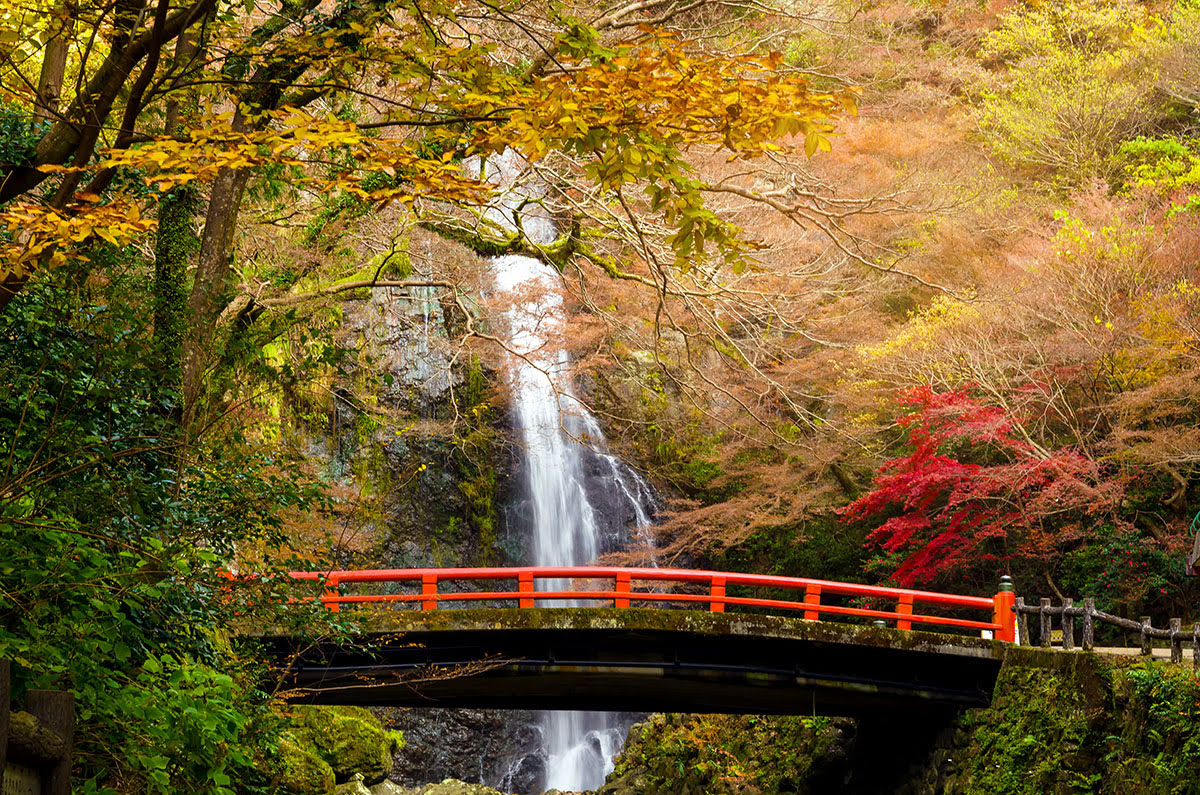 อุทยานแห่งชาติ Meiji no Mori Mino Quasi_Minoo Park_โอซากา