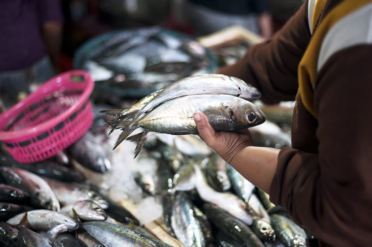 Bali Food Guide-Balinese cuisine-Jimbaran Fish Market_Pasar Jimbaran_Bali