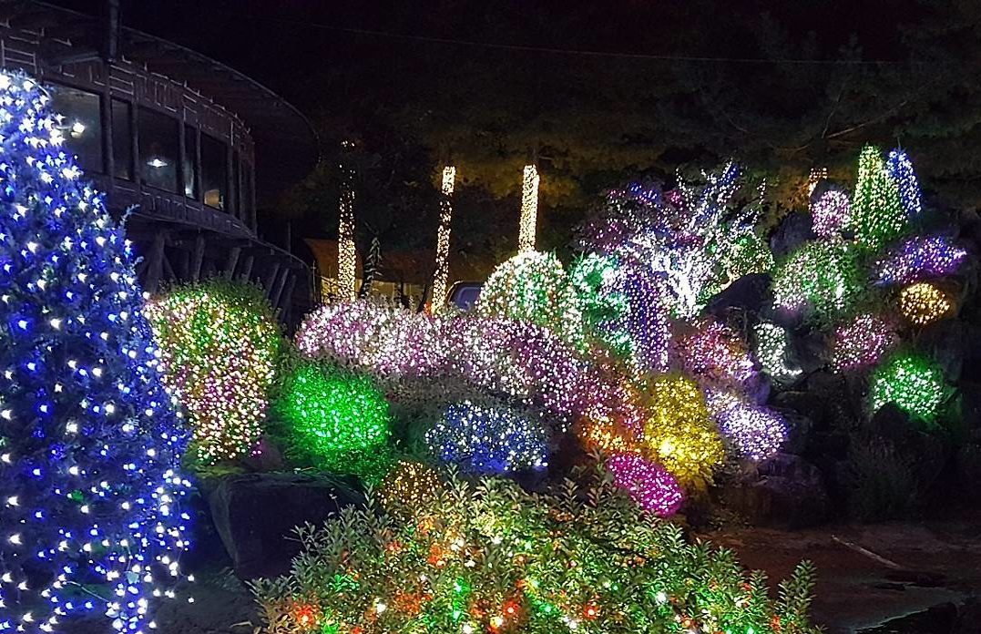 Seoul travel-E-World Starlight Festival_Daegu_South Korea