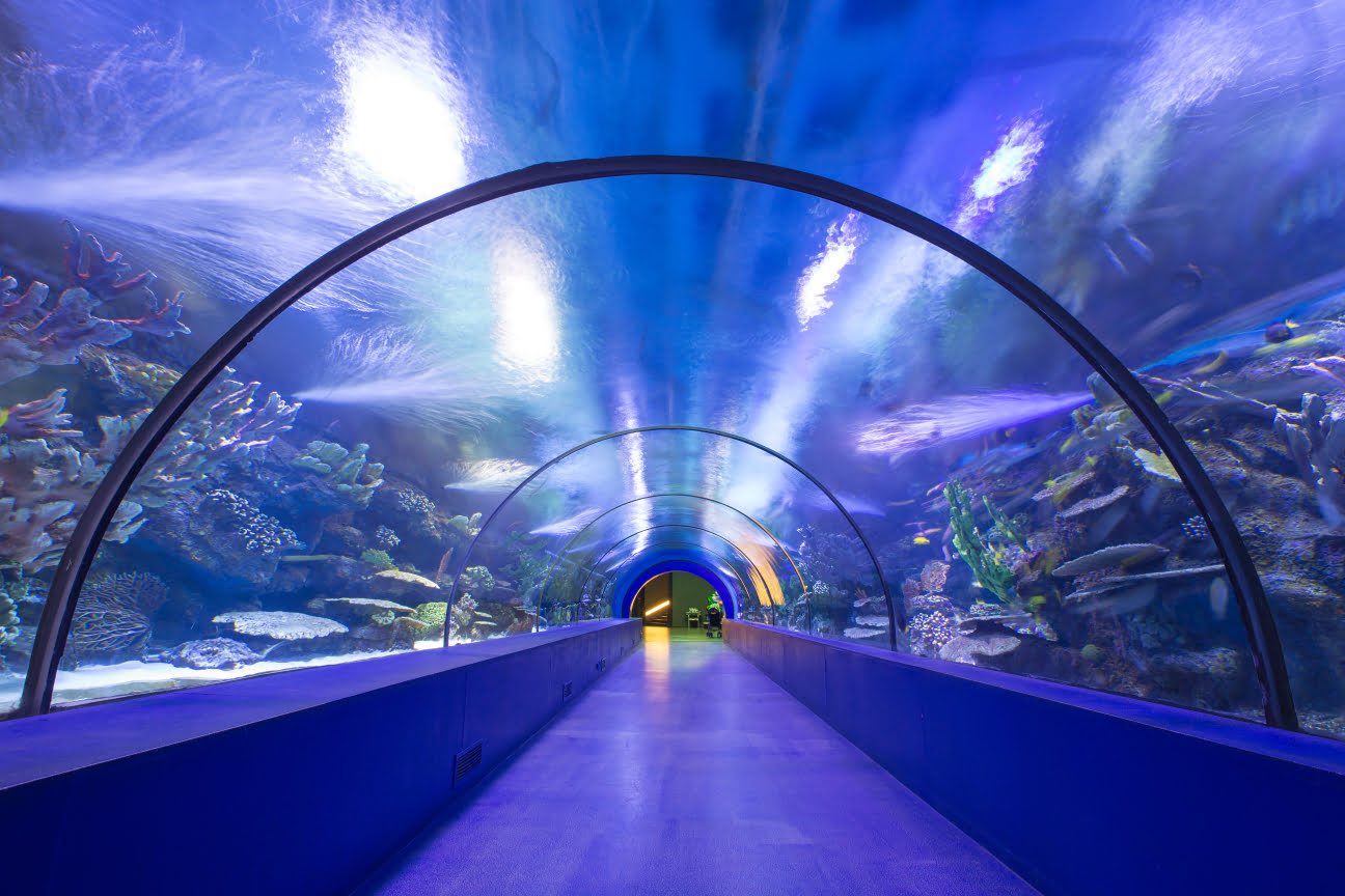 Aquaria KLCC_Kuala Lumpur_Malaysia