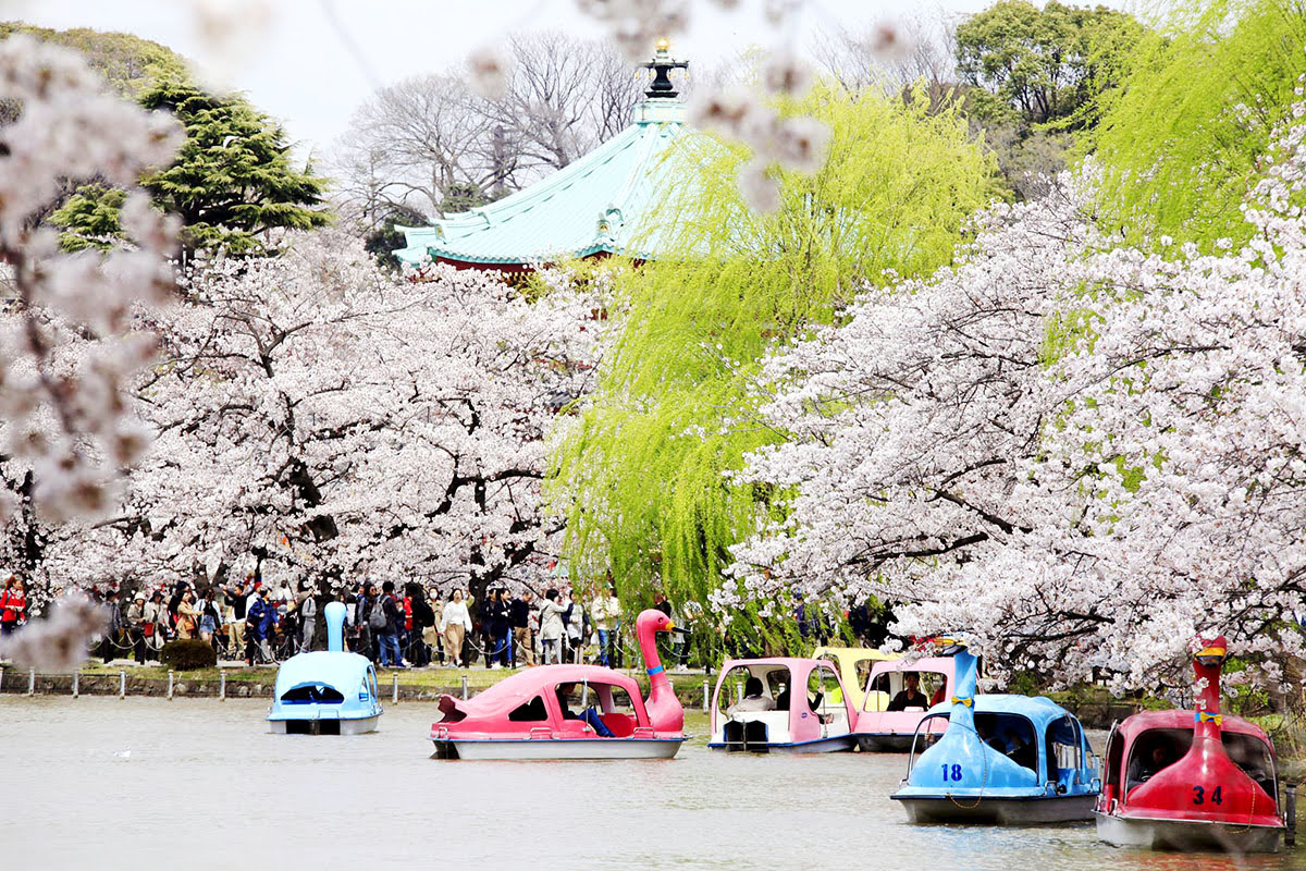 Tokyo Attractions: 5 Things to Do During a Vacation in Japan