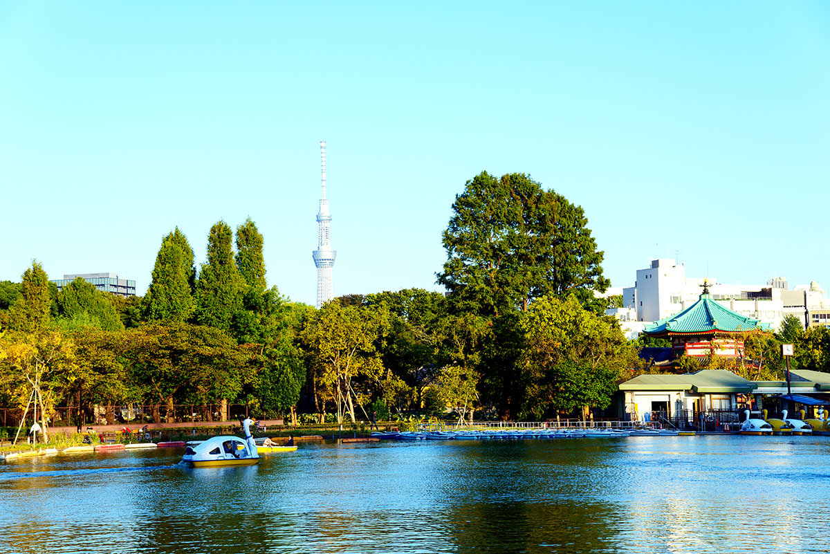 东京台东区 – 上野公园及上野动物园