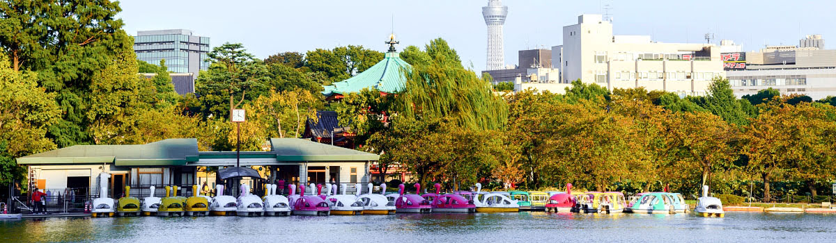 People riding paddle boats in Ueno Park, Tokyo