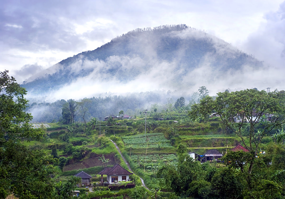 Puncak, Indonesia Puncak, Indonesia