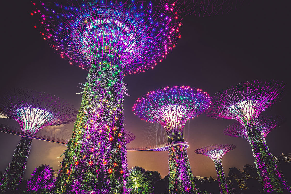 Gardens by the Bay_Flower Dome_Supertree Grove_Singapura