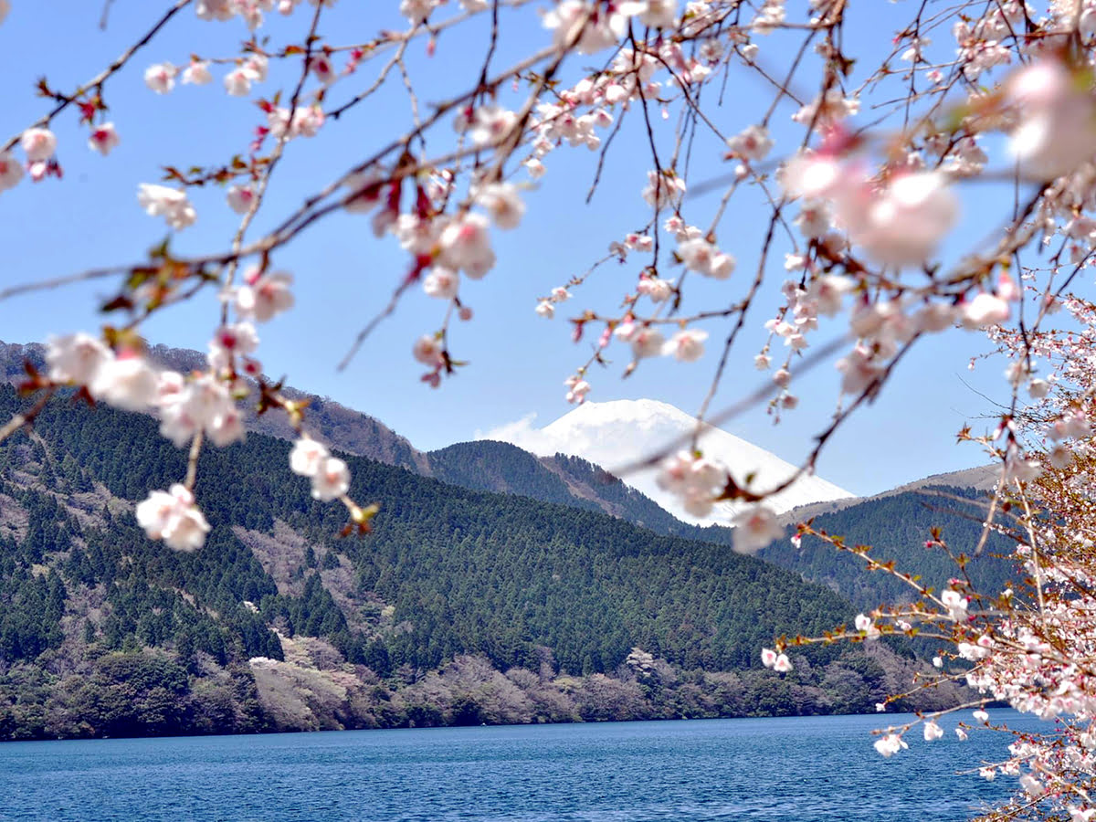ทะเลสาบอาชิโนโกะ ฮาโกเน่ ประเทศญี่ปุ่น