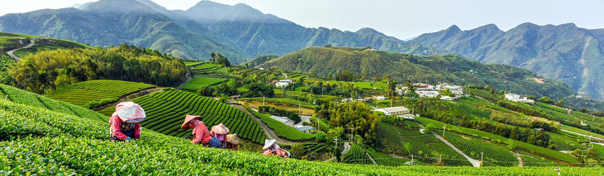 Lima Tempat dengan Pemandangan Indah yang Wajib Dikunjungi di Taipei