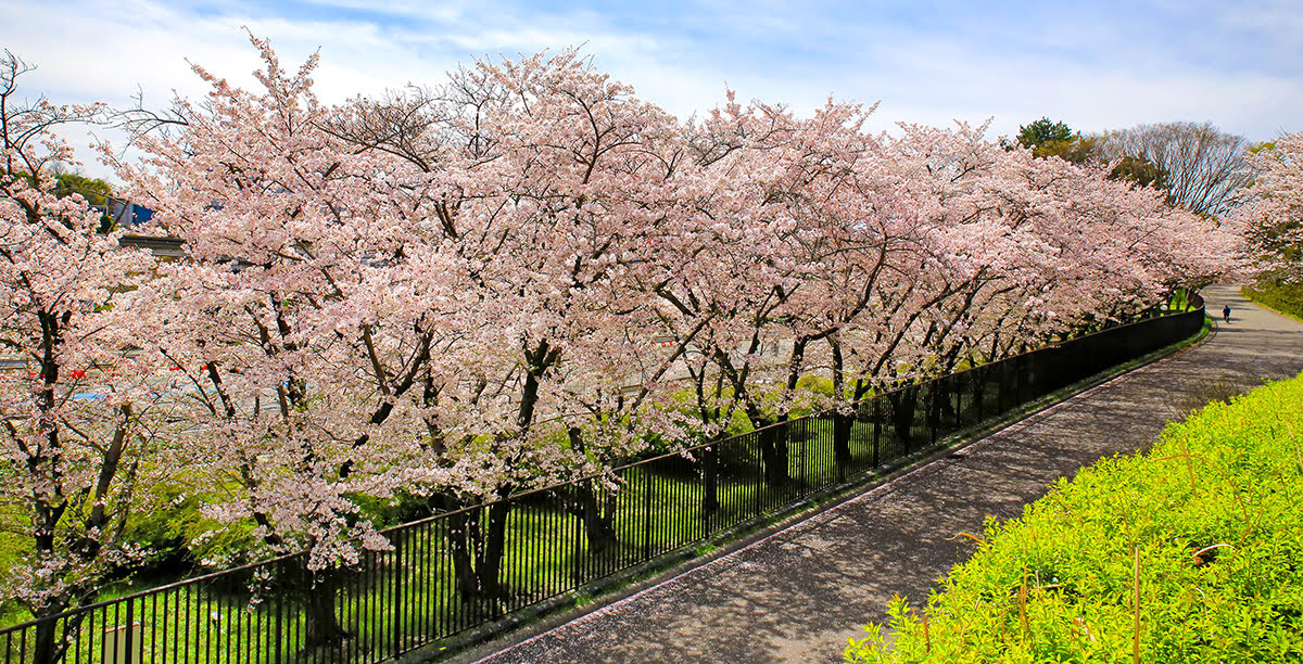 Japans myntverk_Minneparken for verdensutstillingen i 1970_Osaka_Japan_beste tidspunkt å besøke Japan