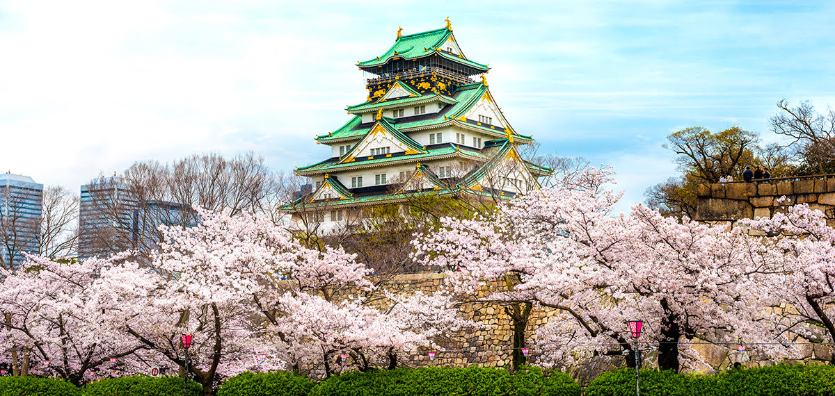 春日櫻花綻放_西之丸庭園_大阪城公園_大阪_日本