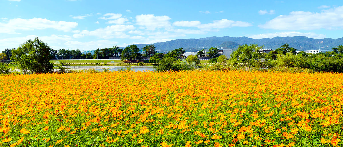 Amagasaki_Nishimuko Park_Oido Park_Osaka_Jepang