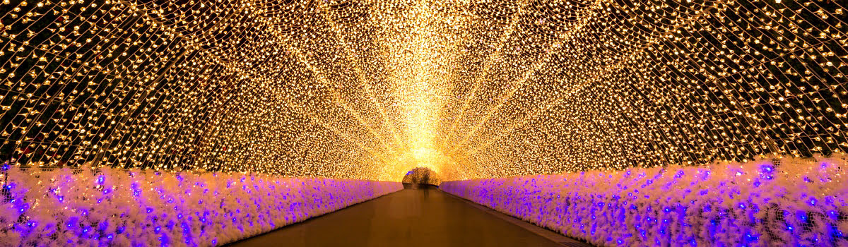 Winter illuminations featured photo of Nabana no Sato at Nagashima Resort & Spa Land in Kuwana, Japan
