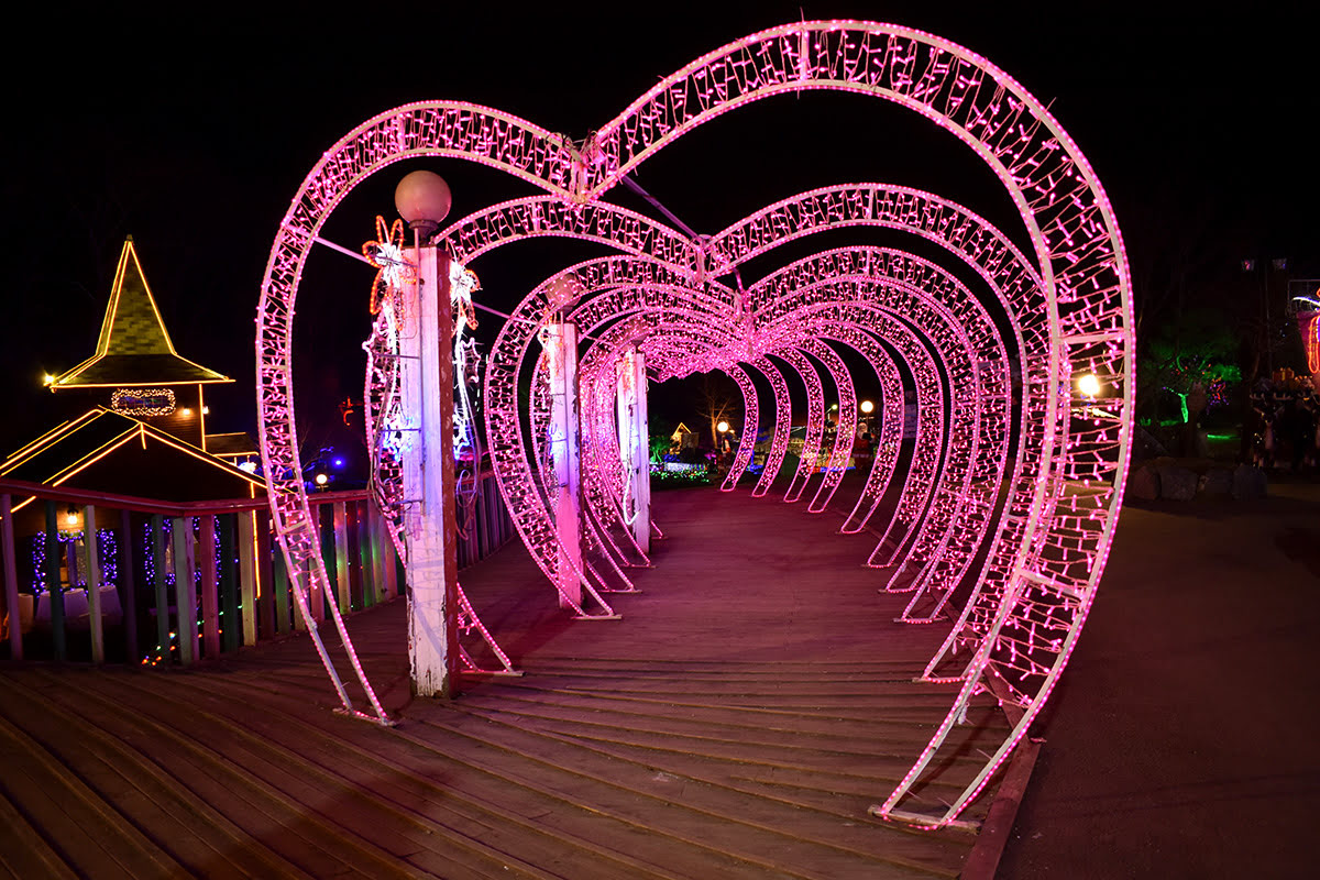 Herb Island Light Festival_Pocheon_South Korea_winter illuminations