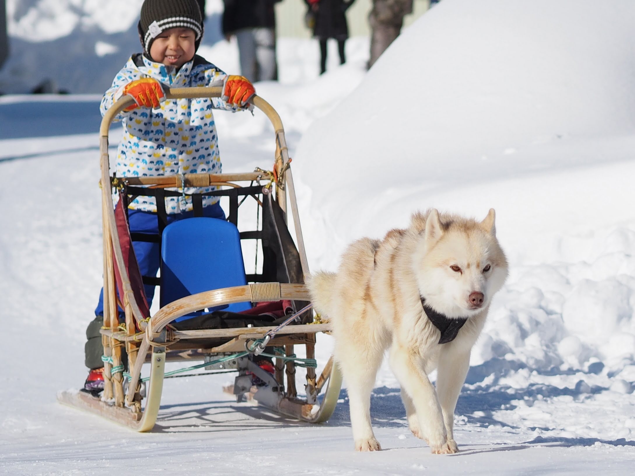 hokkaido winter tour