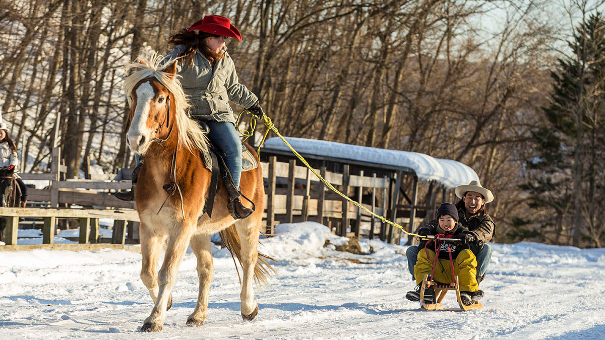 Sapport hot springs-Yukizanmai_Horse_Sledding 