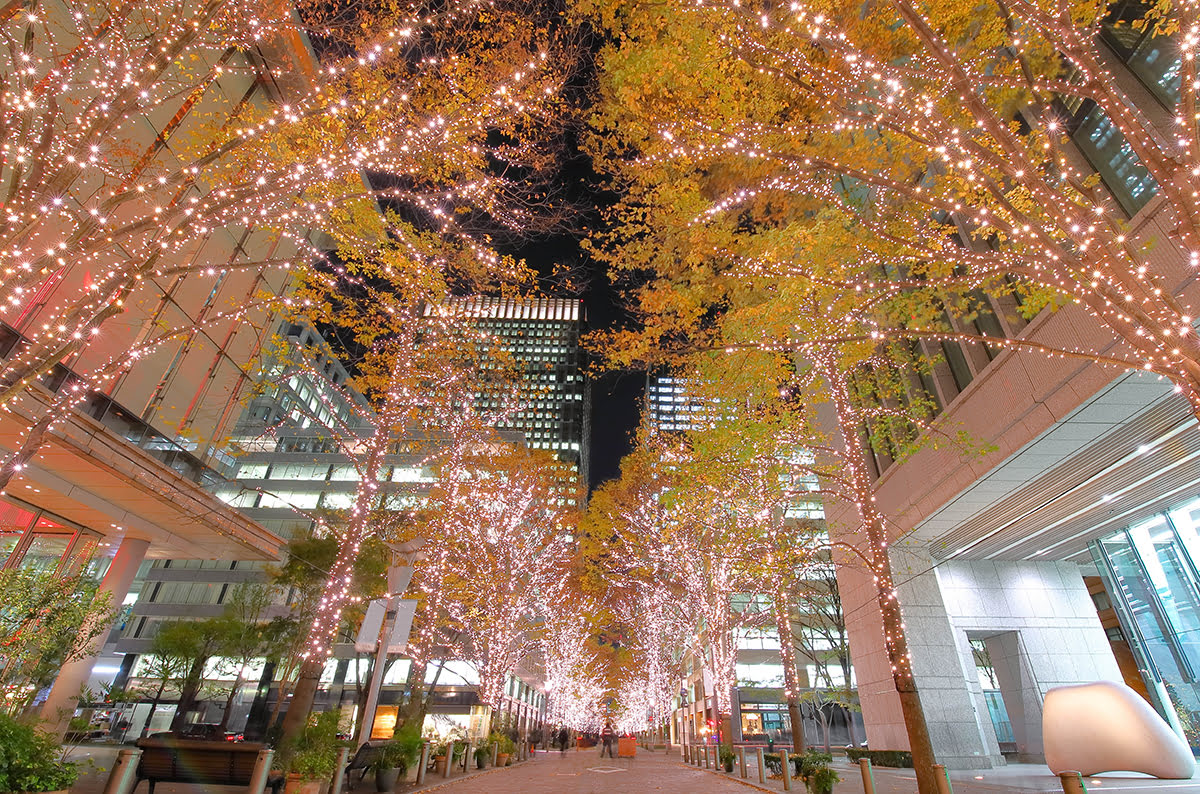 Kiedy najlepiej odwiedzić Tokio_sezon świąteczny_iluminacje w Tokio