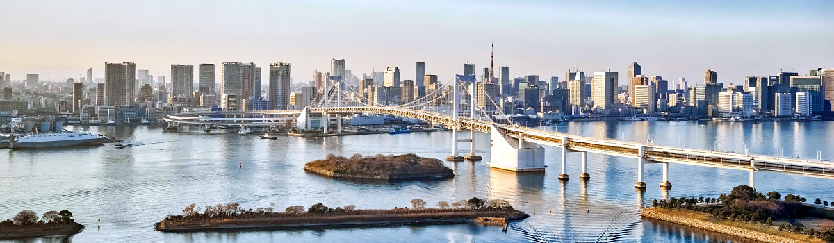 Лучшие развлечения Токио: чем заняться на острове Одайба