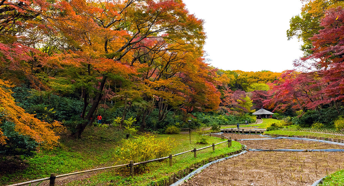 Meiji Shrine_Meiji Jingu Treasure House_Tokyo_Japan