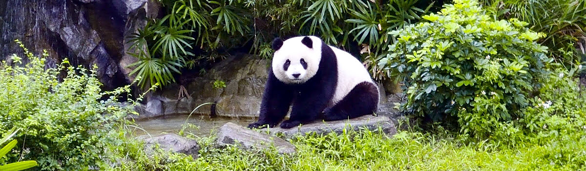 台北市立動物園 | 台北で人気の動物園 &#038; 周辺エリア情報