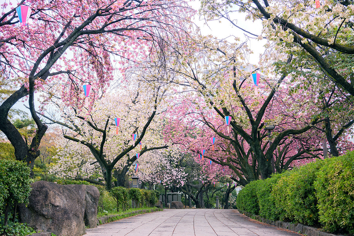   東京の公共公園、上野公園、新宿御苑でやるべきこと