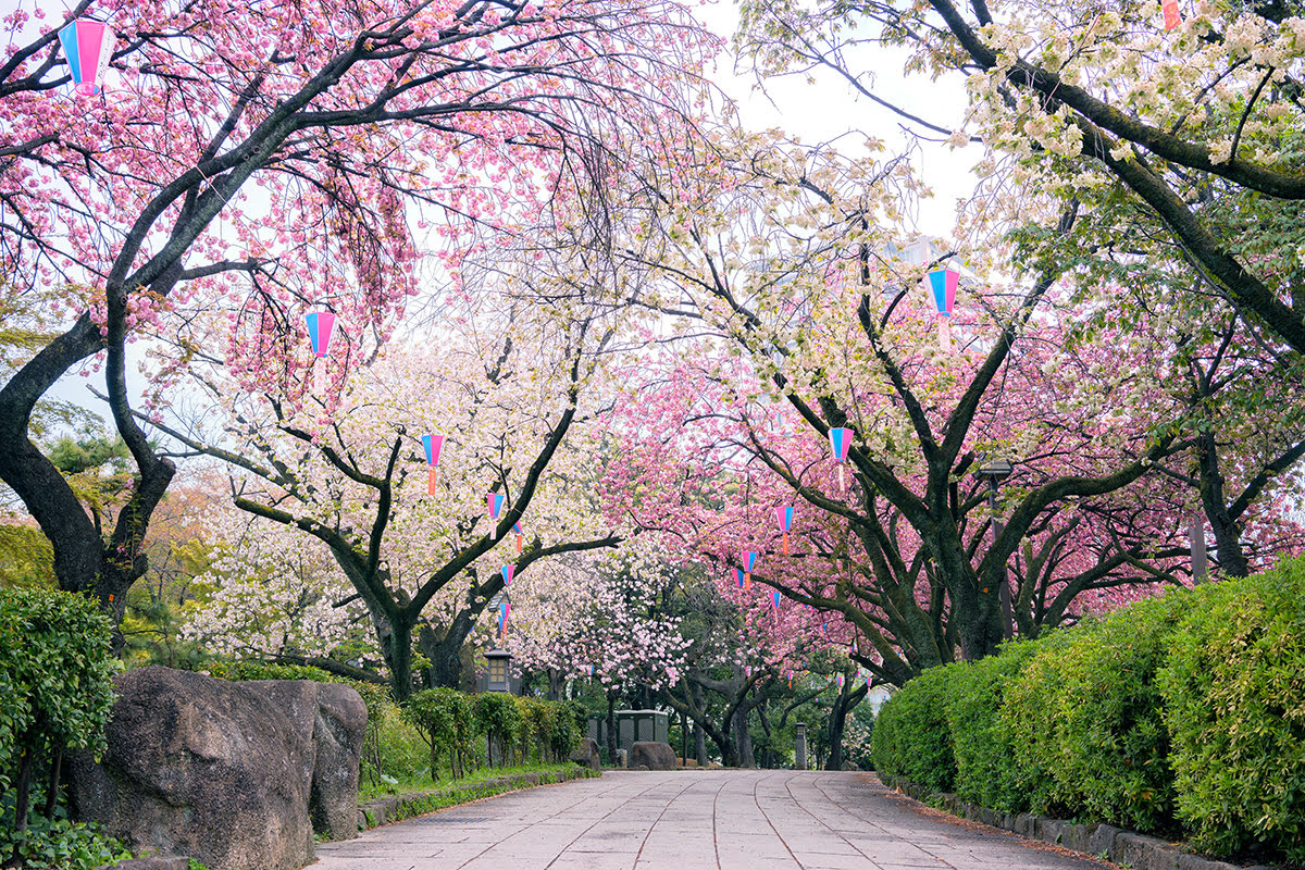 东京热门景点-公园-上野公园-新宿御苑