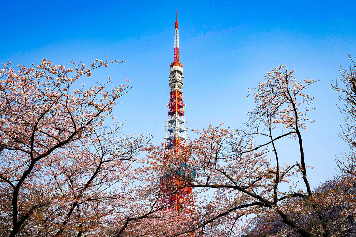 도쿄 타워(Tokyo Tower)-일본_높이_층 수