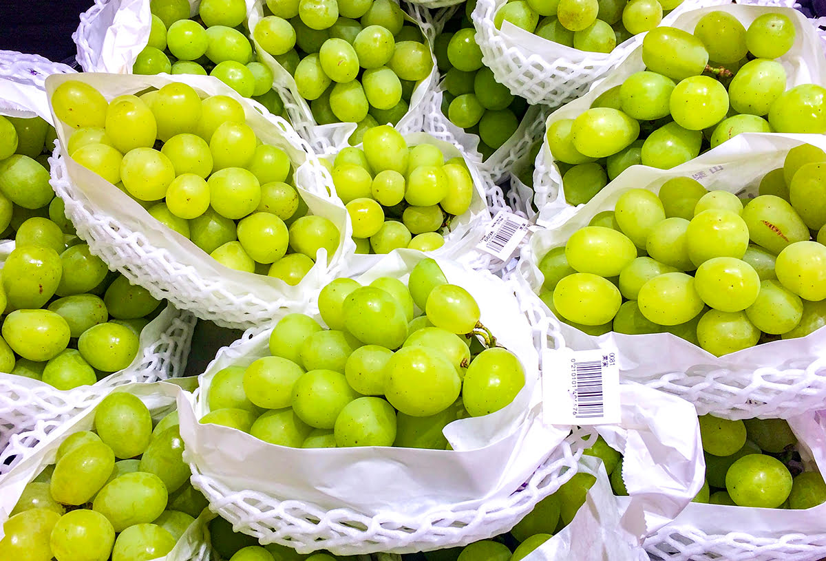 大田批发市场（Ota Wholesale Market）_武藏小杉（Grand Tree Musashikosugi）