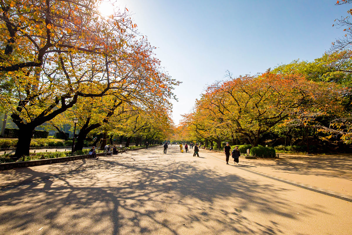 Tokyo attractions-Ueno Park