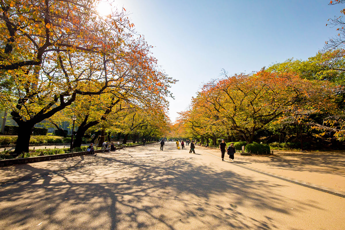 ที่เที่ยวโตเกียว-สวนอุเอโนะ (Ueno Park)